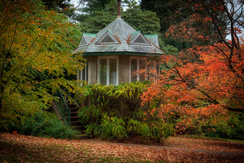 giardino botanico in autunno a Swansea