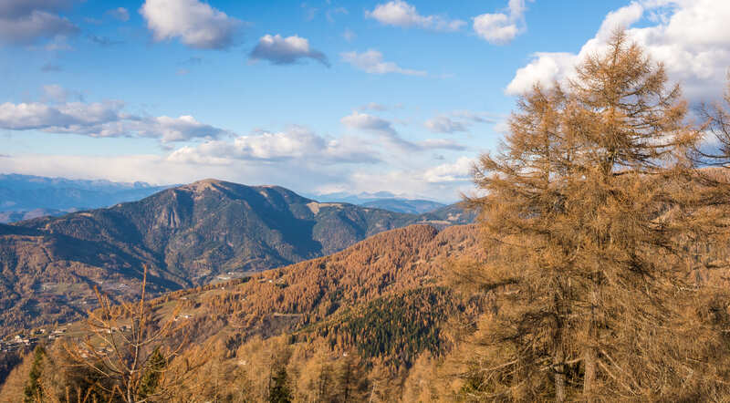 Panarotta